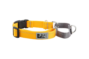 RC Pet Web Training Collar - Large