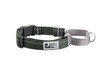 RC Pet Web Training Collar - Large