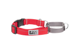 RC Pet Web Training Collar - Large