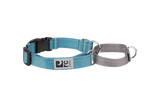 RC Pet Web Training Collar - Small