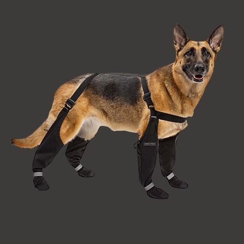 Canada Pooch Suspender Boots Black 1
