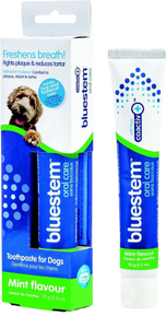 Bluestem Oral Care Mint Flavour Dental Kit