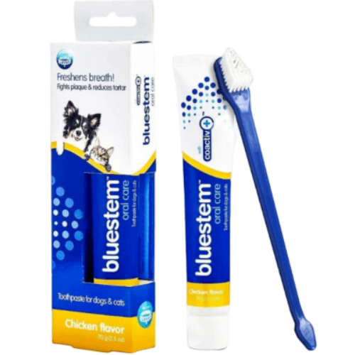 Bluestem Oral Care Chicken Flavour Dental Kit