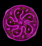 OUT FUN FEEDER MINI PURPLE