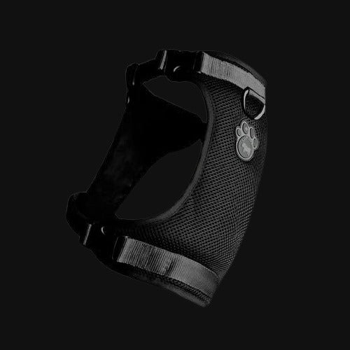 CAN NO PULL HARNESS SMALL BLACK