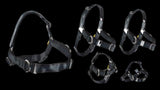 JWALKER TRAINING HARNESS M/LG BLACK