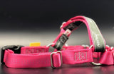 JWALKER TRAINING HARNESS M/LG RASPBERRY
