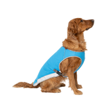 Canada Pooch Chill Seeker - Size 18