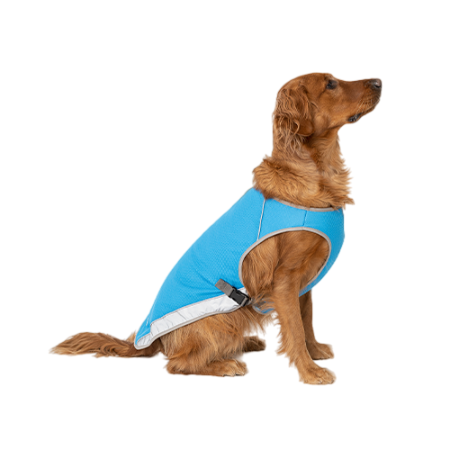 Canada Pooch Chill Seeker - Size 20