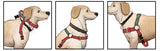 JWALKER TRAINING HARNESS S/M GREEN
