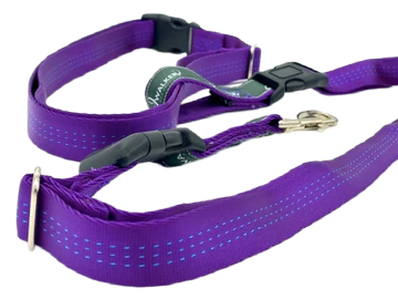 Jwalker Utility Belt - Purple