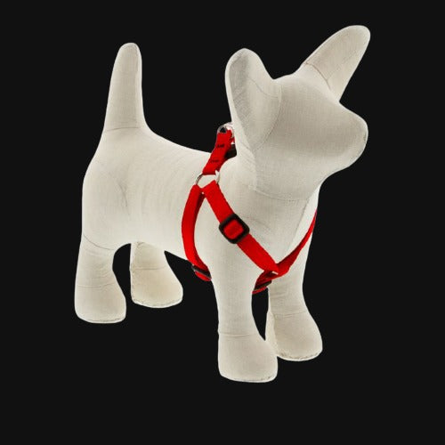 Lupine Basic Harness Red
