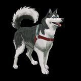 JWALKER TRAINING HARNESS M/LG BLUE