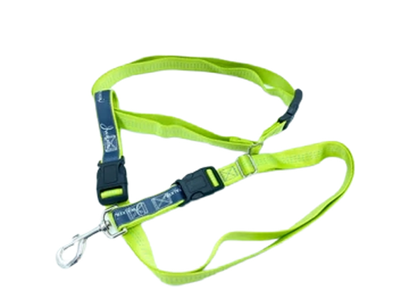 Jwalker Utility Belt - Lime