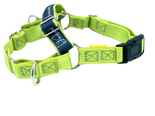 JWalker Training Harness - Lime