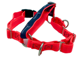 JWALKER TRAINING HARNESS S/M ELECTRIC ORANGE