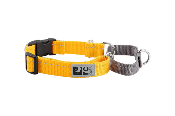 RC Pet Web Training Collar - X-Small