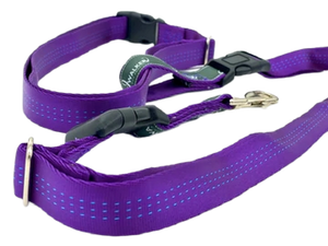 Jwalker Utility Belt - Purple