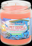 Holly Molly Odor Eliminating Candles