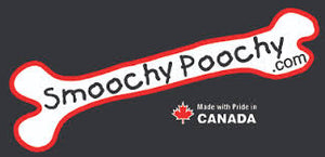 Smoochy Poochy Polyvinyl Buckle Collar - Baby Pink